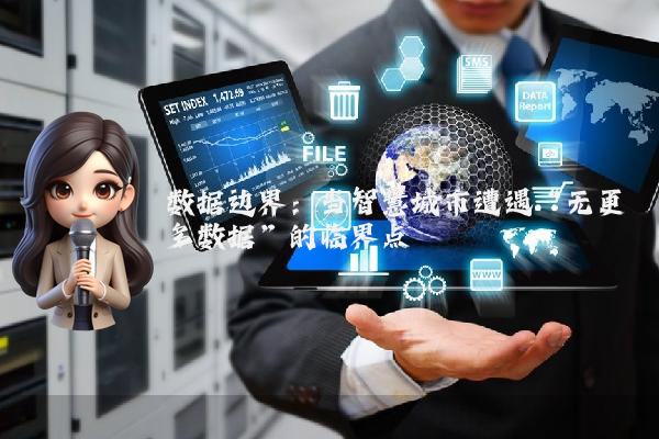 数据边界：当智慧城市遭遇“无更多数据”的临界点