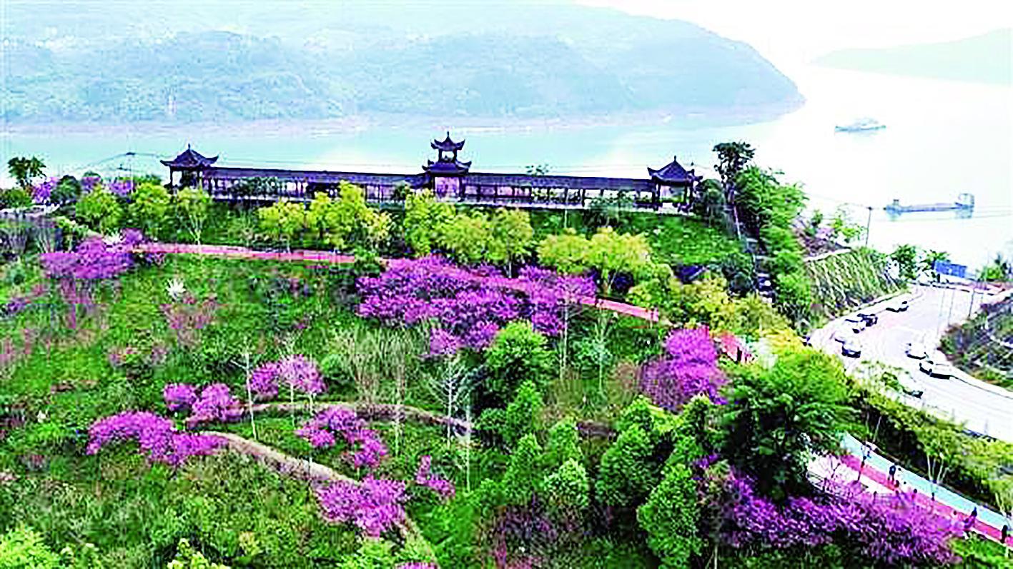 忠县白公生态文化公园 据新重庆-重庆日报